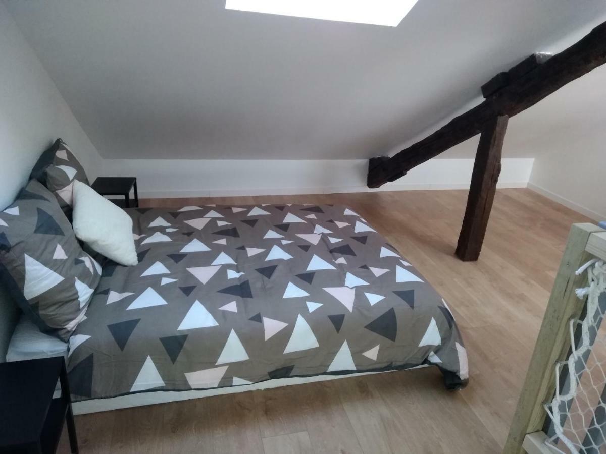 Loft Bien Equipe Hyper Centre D'Amboise Daire Dış mekan fotoğraf
